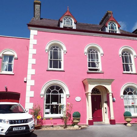 Llety Teifi Guesthouse كارديغين المظهر الخارجي الصورة