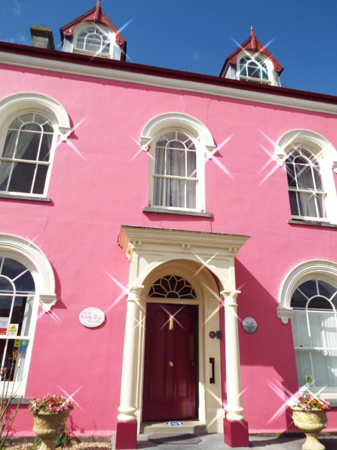 Llety Teifi Guesthouse كارديغين المظهر الخارجي الصورة