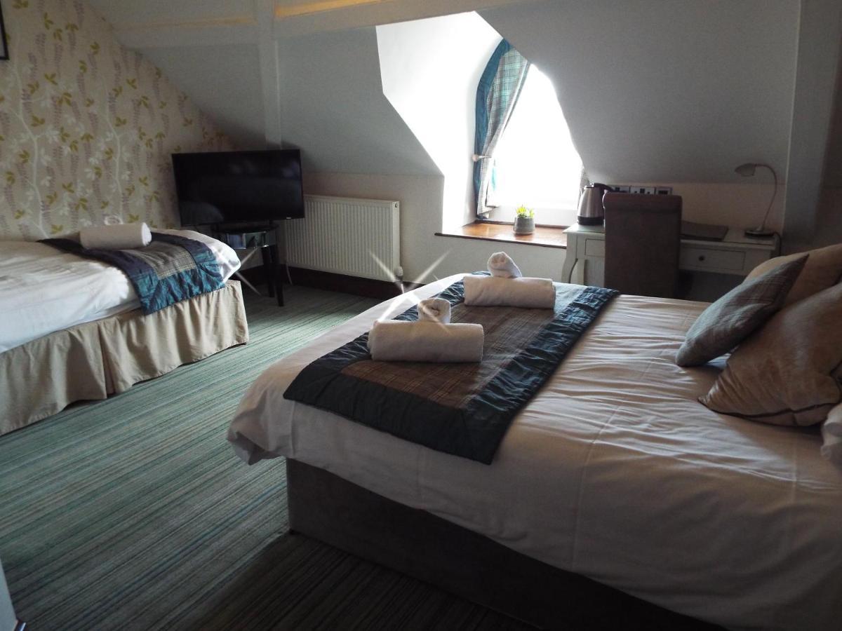 Llety Teifi Guesthouse كارديغين المظهر الخارجي الصورة
