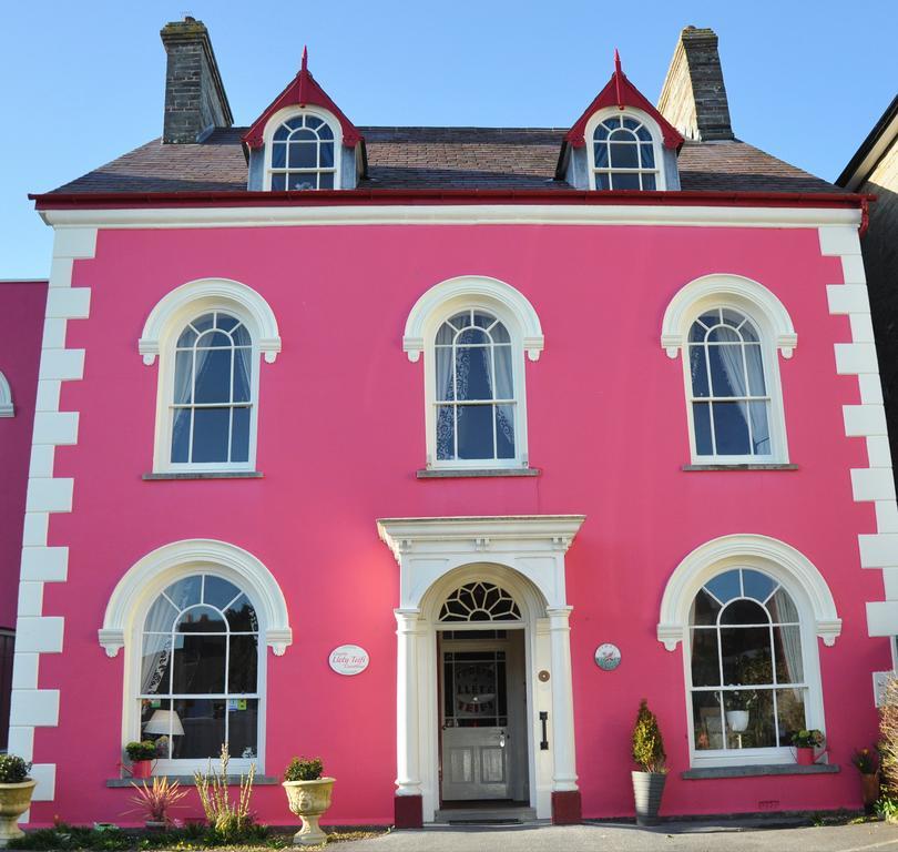 Llety Teifi Guesthouse كارديغين المظهر الخارجي الصورة